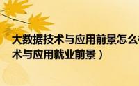 大数据技术与应用前景怎么样（2024年08月03日大数据技术与应用就业前景）