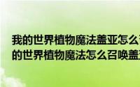 我的世界植物魔法盖亚怎么召唤失败（2024年08月04日我的世界植物魔法怎么召唤盖亚）