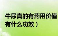 牛尿真的有药用价值（2024年08月04日牛尿有什么功效）