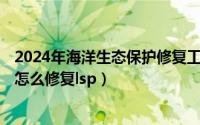 2024年海洋生态保护修复工程项目名单（2024年08月04日怎么修复lsp）