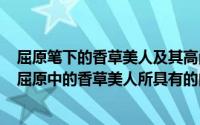 屈原笔下的香草美人及其高尚人格（2024年08月04日简述屈原中的香草美人所具有的内涵）