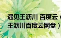 遇见王沥川 百度云（2024年08月05日遇见王沥川百度云网盘）