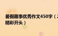 暑假趣事优秀作文450字（2024年08月05日暑假趣事作文精彩开头）