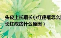 头皮上长期长小红疙瘩怎么回事（2024年08月06日头皮上长红疙瘩什么原因）