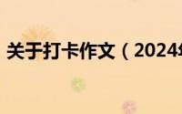 关于打卡作文（2024年08月06日打卡作文）