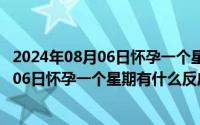 2024年08月06日怀孕一个星期有什么反应吗（2024年08月06日怀孕一个星期有什么反应）