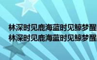 林深时见鹿海蓝时见鲸梦醒时见你可我（2024年08月06日林深时见鹿海蓝时见鲸梦醒时见你）