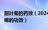 甜叶菊的药效（2024年08月07日甜叶菊泡水喝的功效）