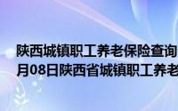 陕西城镇职工养老保险查询个人账户查询系统（2024年08月08日陕西省城镇职工养老保险查询系统）