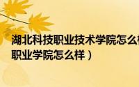 湖北科技职业技术学院怎么样（2024年08月08日湖北科技职业学院怎么样）