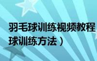 羽毛球训练视频教程（2024年08月09日羽毛球训练方法）