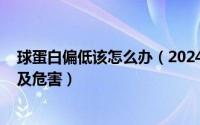 球蛋白偏低该怎么办（2024年08月09日球蛋白偏低的原因及危害）