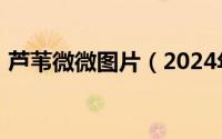 芦苇微微图片（2024年08月09日芦苇微微）