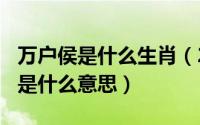 万户侯是什么生肖（2024年08月09日万户侯是什么意思）