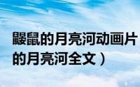 鼹鼠的月亮河动画片（2024年08月10日鼹鼠的月亮河全文）