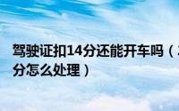 驾驶证扣14分还能开车吗（2024年08月10日驾驶证扣完12分怎么处理）