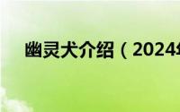 幽灵犬介绍（2024年08月10日幽灵犬）