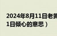 2024年8月11日老黄历查询（2024年08月11日倾心的意思）