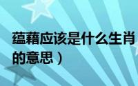 蕴藉应该是什么生肖（2024年08月11日蕴藉的意思）