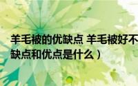 羊毛被的优缺点 羊毛被好不好（2024年08月11日羊毛被的缺点和优点是什么）