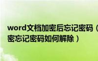 word文档加密后忘记密码（2024年08月11日word文档加密忘记密码如何解除）