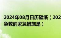 2024年08月日历壁纸（2024年08月11日被毒蛇咬伤后实施急救的紧急措施是）