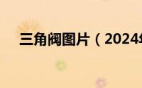 三角阀图片（2024年08月12日三角阀）