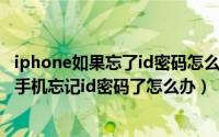 iphone如果忘了id密码怎么办（2024年08月12日如果苹果手机忘记id密码了怎么办）