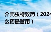 介壳虫特效药（2024年08月13日介壳虫用什么药最管用）