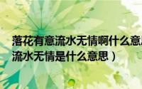 落花有意流水无情啊什么意思（2024年08月13日落花有意流水无情是什么意思）