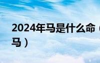 2024年马是什么命（2024年08月14日教牛马）