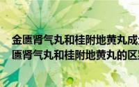 金匮肾气丸和桂附地黄丸成分一样吗（2024年08月15日金匮肾气丸和桂附地黄丸的区别）