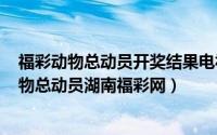 福彩动物总动员开奖结果电视图湖南（2024年08月15日动物总动员湖南福彩网）