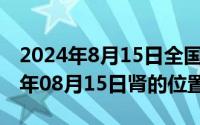 2024年8月15日全国生态日活动方案（2024年08月15日肾的位置图）