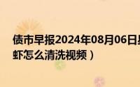 债市早报2024年08月06日星期二（2024年08月16日小龙虾怎么清洗视频）