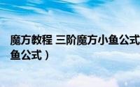 魔方教程 三阶魔方小鱼公式（2024年08月16日三阶魔方小鱼公式）