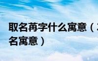 取名苒字什么寓意（2024年08月16日苒字取名寓意）