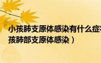 小孩肺支原体感染有什么症状有哪些（2024年08月17日小孩肺部支原体感染）