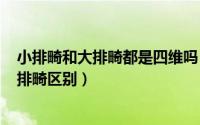 小排畸和大排畸都是四维吗（2024年08月17日小排畸和大排畸区别）