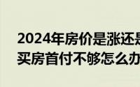 2024年房价是涨还是跌（2024年08月17日买房首付不够怎么办）