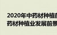 2020年中药材种植前景（2024年08月18日药材种植业发展前景）