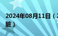 2024年08月11日（2024年08月18日人的心脏）