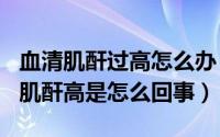 血清肌酐过高怎么办（2024年08月18日血清肌酐高是怎么回事）