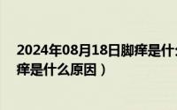 2024年08月18日脚痒是什么原因呢（2024年08月18日脚痒是什么原因）