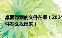 桌面隐藏的文件在哪（2024年08月19日电脑桌面隐藏的文件怎么找出来）