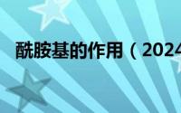 酰胺基的作用（2024年08月19日酰胺基）