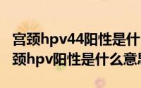 宫颈hpv44阳性是什么（2024年08月19日宫颈hpv阳性是什么意思）