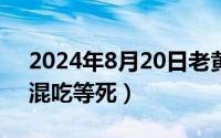 2024年8月20日老黄历（2024年08月20日混吃等死）