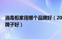 消毒柜家用哪个品牌好（2024年08月21日家用消毒柜哪个牌子好）