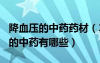 降血压的中药药材（2024年08月21日降血压的中药有哪些）